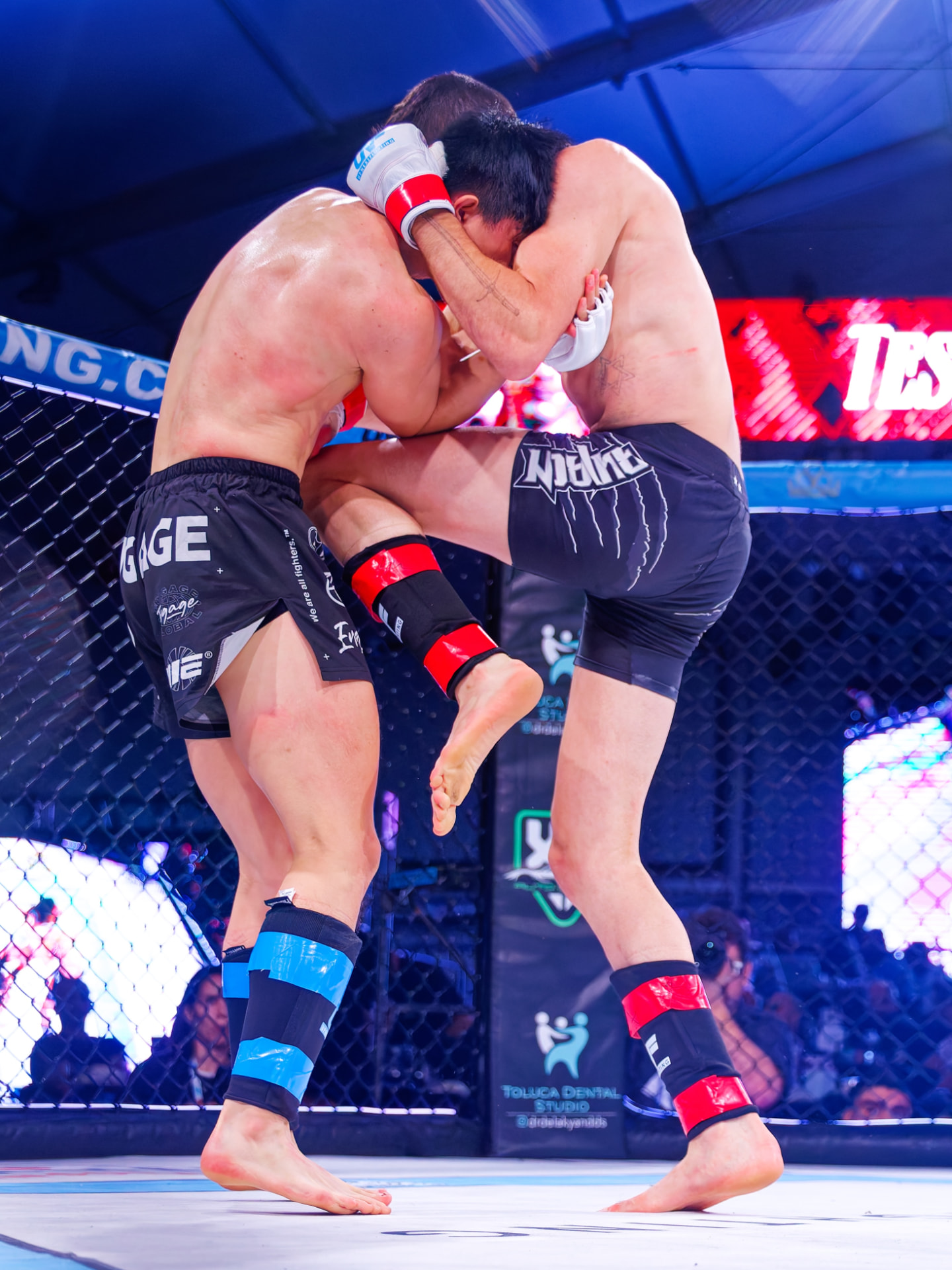 Asher Tessler in a clinch during an MMA fight