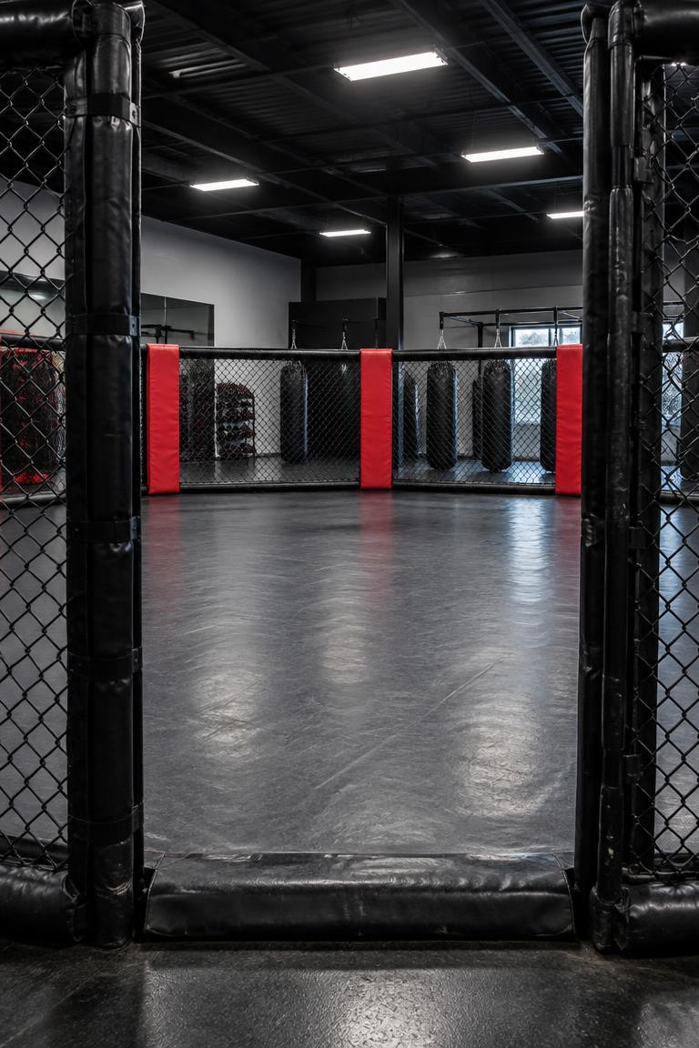 MMA cage and training mat